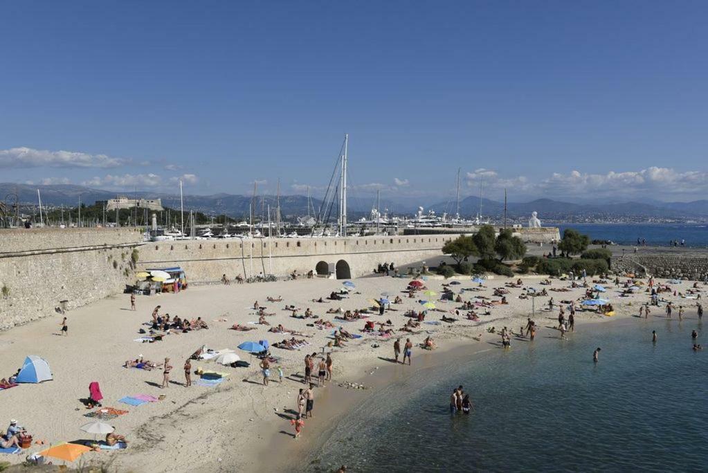 L Olivier Apartment Antibes Exterior foto